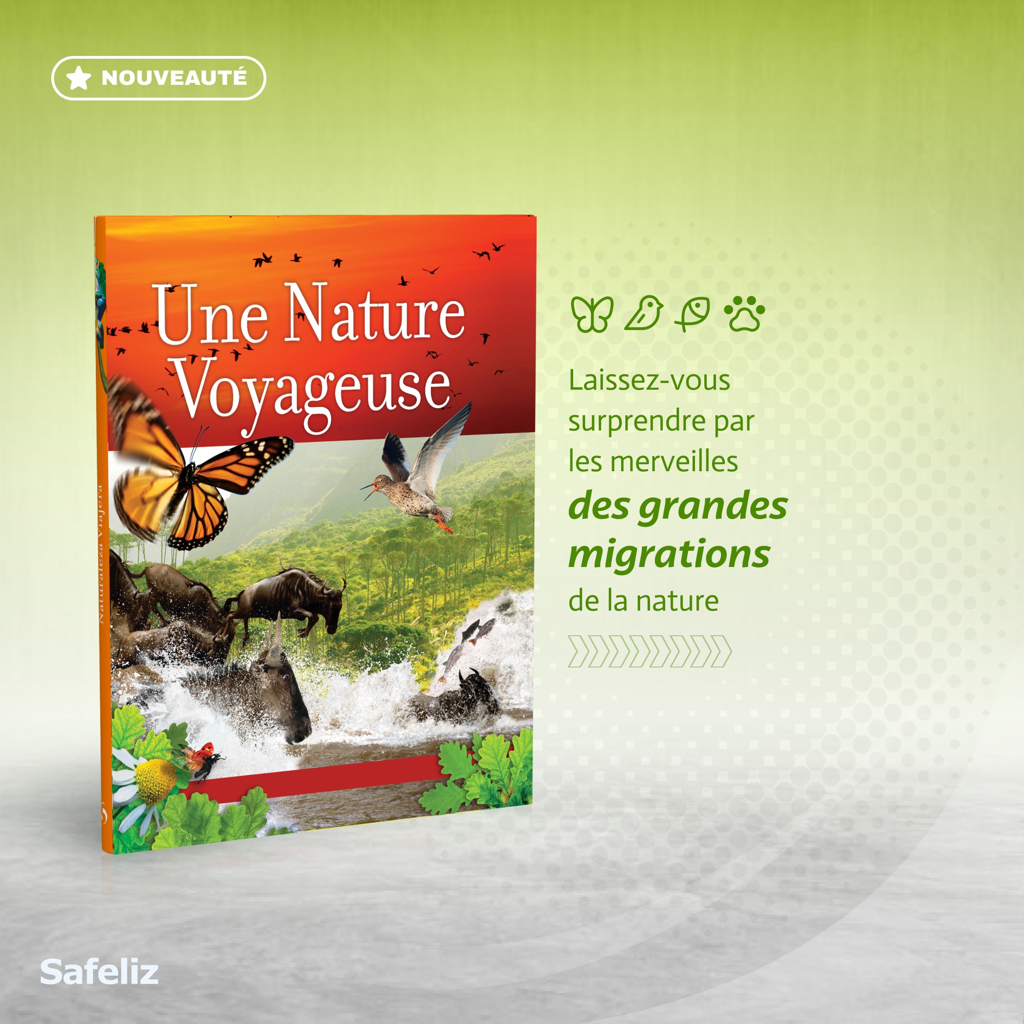 Des livres adaptés pour apprendre, découvrir et grandir.